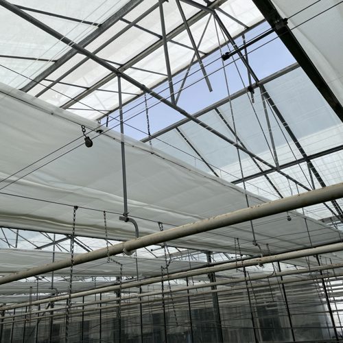 Peet Zwink Spouw 3.jpg