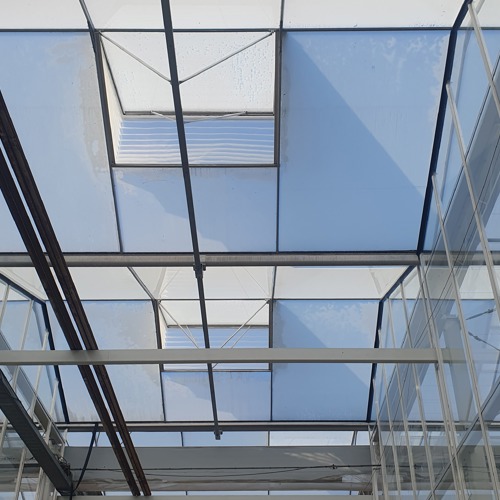 Hazera Made 1.jpg (1)