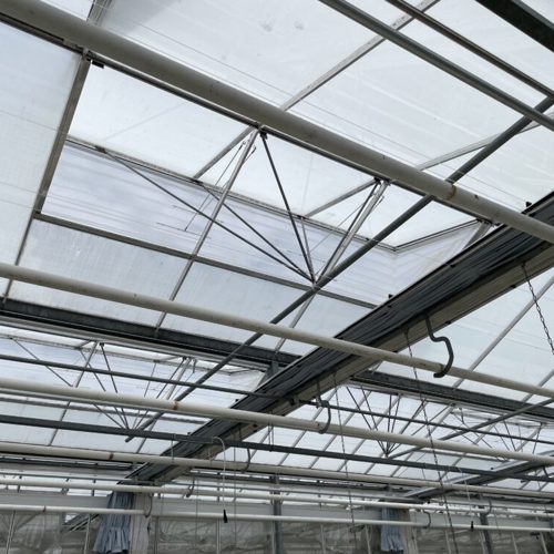 Tim Bouwman Gaas 2.jpg